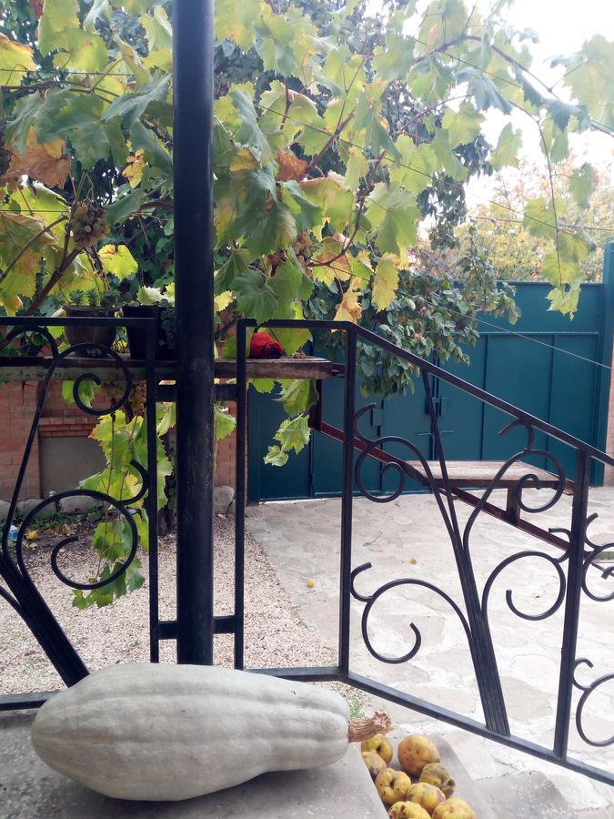 Green House Kachret'i Ngoại thất bức ảnh